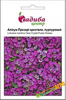 Семена цветов Алиссум Прозрочные кристаллы, пурпурные, 50шт, Садыба