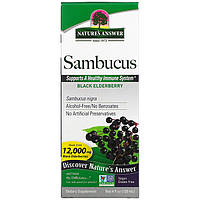 Черная бузина Nature's Answer "Sambucus Black Elderberry" 12000 мг (120 мл)