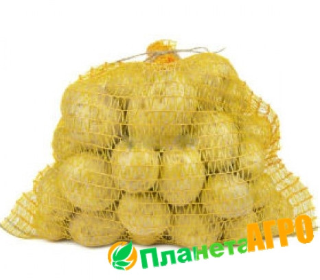 Сетка овощная 40*60 ( до 20 кг), желтая - фото 2 - id-p1580359694