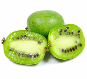 САДЖАНЦІ АКТИНІДІЇ