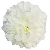 Головы цветов Георгины белые, диаметр 10 см