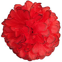 Головы цветов Георгины красные, диаметр 10 см