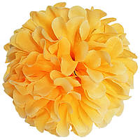 Головы цветов Георгины желтые, диаметр 10 см