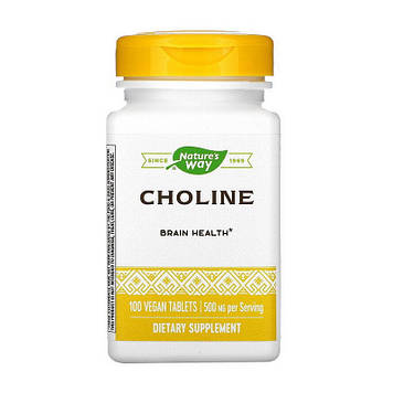 Холін (вітамін В4) Nature's Way Choline 500 mg для цетральної нервової системи (100 veg caps)