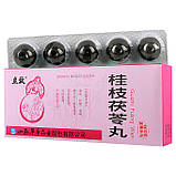 Гуй Чжі Фу Лін/Gui Zhi Fu Ling Wan запальні процеси міома, мастопатія, пензлик у яєчні, фото 2