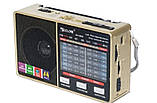 Портативний радіоприймач GOLON RX-8866, фото 6