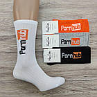 Шкарпетки чоловічі високі весна/осінь асорті р.41-45 HAPPY SOCKS PORN HUB 30034513, фото 4