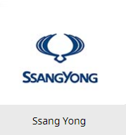 Вії на фари SsangYong