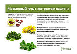 Масажний гель з екстрактом кінського каштану FORTE+, фото 7