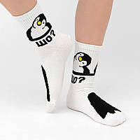 Шкарпетки білі з принтом "Пінгвін" та написом "Шо?" (розмір 36-41)