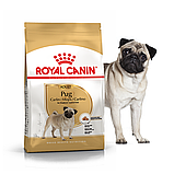 Корм сухий Royal Canin для дорослих собак породи мопс Pug Adult 3 kg, фото 6