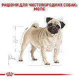 Корм сухий Royal Canin для дорослих собак породи мопс Pug Adult 1,5 kg, фото 5