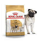 Корм сухий Royal Canin для дорослих собак породи мопс Pug Adult 1,5 kg, фото 7