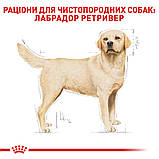 Корм сухий Royal Canin для дорослих собак породи лабрадор LABRADOR RETRIEVER ADULT 12 kg, фото 4