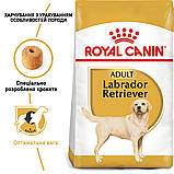 Корм сухий Royal Canin для дорослих собак породи лабрадор LABRADOR RETRIEVER ADULT 12 kg, фото 5