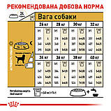 Корм сухий Royal Canin для дорослих собак породи лабрадор LABRADOR RETRIEVER ADULT 12 kg, фото 8