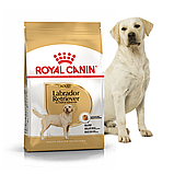 Корм сухий Royal Canin для дорослих собак породи лабрадор LABRADOR RETRIEVER ADULT 12 kg, фото 7