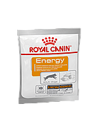 Додатковий корм (ласощі) Royal Canin для собак Energy 50 g