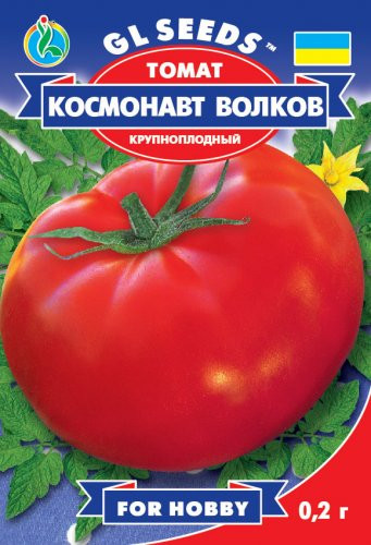 Семена томат Космонавт Волков H=до 2м. 300-600г. - фото 3 - id-p253202794