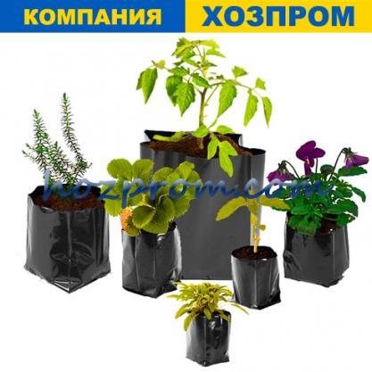 Пакеты для Рассады и Саженцев 8*25 Посадка Огурцов в Пакеты Пластиковые ...