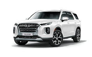 Накладки на Hyundai Palisade