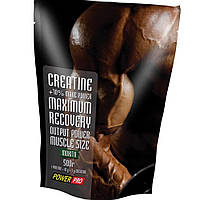 Креатин порошок Power Pro Creatine Maximum Recovery 500 г