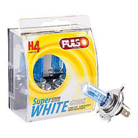 Лампы PULSO/галогенные H4/P43T 12v60/55w super white/plastic box (LP-42651)