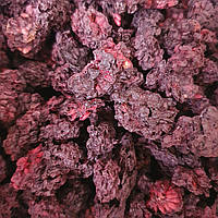 100 г ежевика сушеные ягоды/плоды (Свежий урожай) лат. Rubus