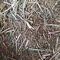 100 г подмаренник настоящий/подмаренник желтый трава сушеная (Свежий урожай) лат. Galium verum