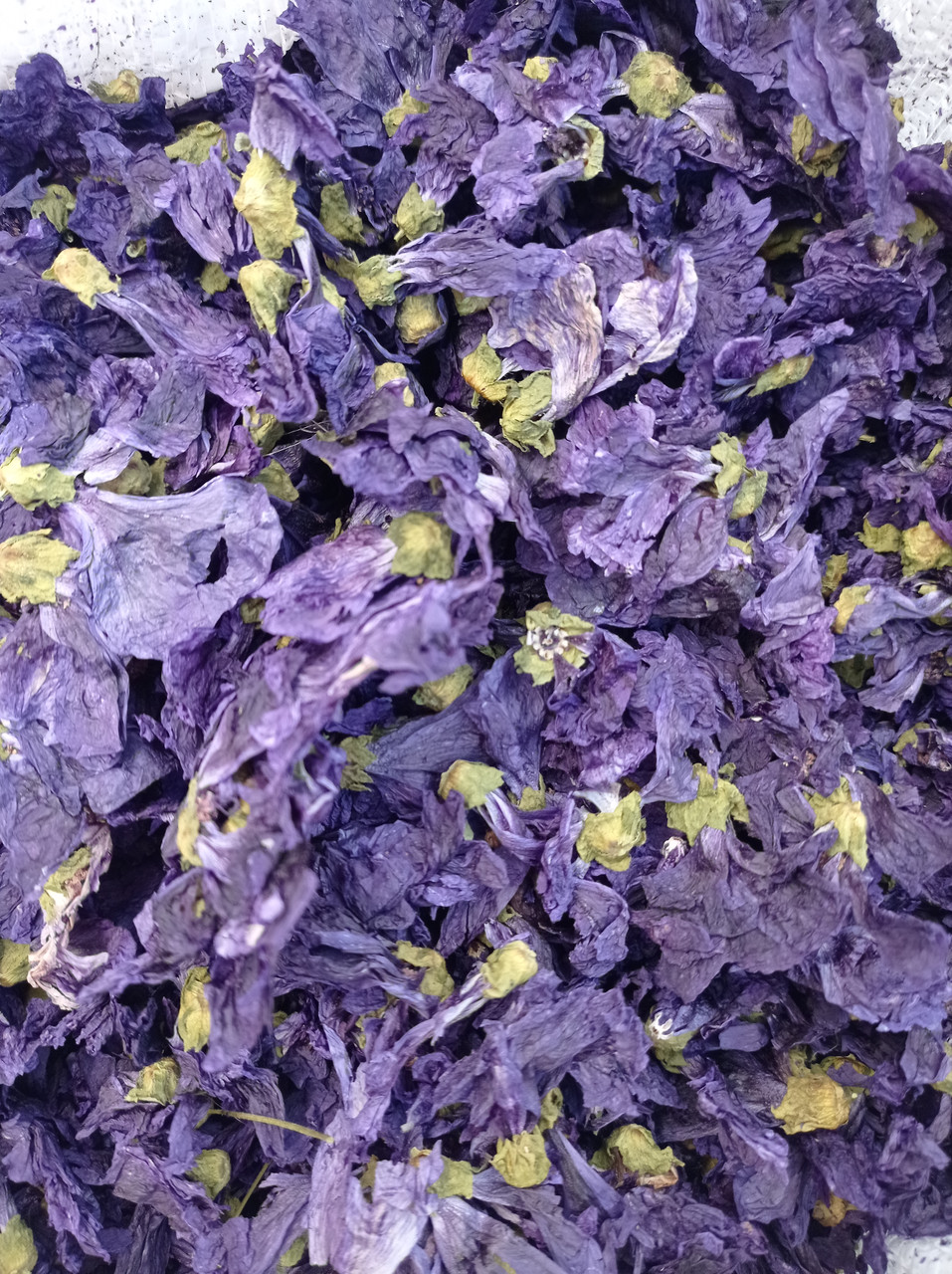 Мальва (бутон), 100г., фото 1