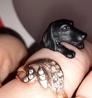 Кольцо перстень порода собака такса пес металл регулируется черное
