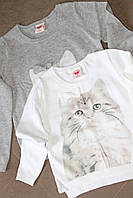 Дитячий бавовняний светр на дівчинку "Мяу"