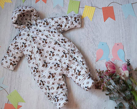 Дитячий демісезонний комбінезон 0-6 міс - осінній / весняний комбінезон для новонародженого, фото 1