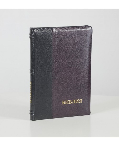Біблія 077 (Індекси, замок, шкіра, 2 кол.) синод. переклад