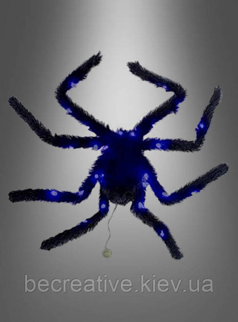 Чорний павук зі світлом, фото 1