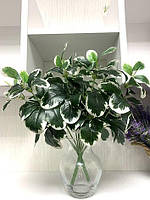 Искусственное растение - Фикус Пумиля. Куст для декора ( латекс 37 см )