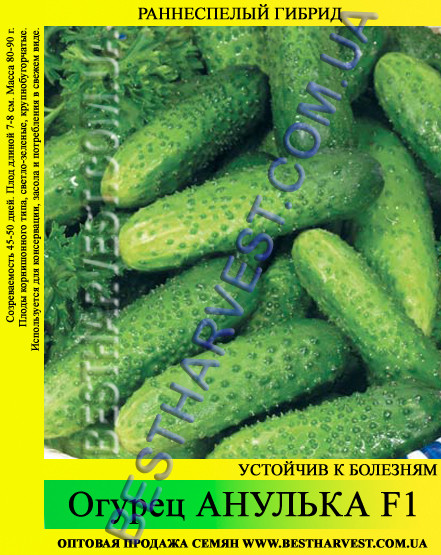 Насіння огірка "Анулька F1" 0.5 кг