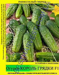Насіння огірка «Король Грядки F1» 100 г