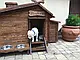 Будка дерев'яна для собаки "Харві", фото 2