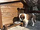 Будка для собаки з підігрівом "Харві", фото 4