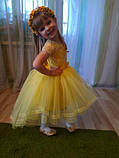 Жовте нарядне плаття на дівчинку костюм Сонечко, Курчатко, Качечка, Кульбаба, фото 3