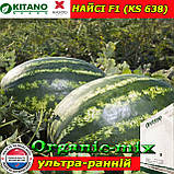 Насіння, кавун НАЙСІ (КЅ 638) F1, 1000 насінин, KITANO SEEDS (Нідерланди), фото 2