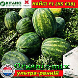 Насіння, кавун НАЙСІ (КS 638) F1, 100 насіння, KITANO SEEDS (Нідерланди), фото 3
