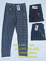 Жіночі штани-лосини "Ластівка" карта з кишенями (3-6XL)