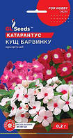 Насіння Квіти Катарантус Куст Барвінка LG Seeds, 0.2 г