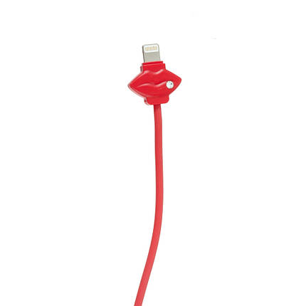 USB Кабель D&M для C-08 Lightning Love, фото 1