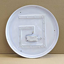 LED світильник накладний Biom 24W 5000K коло DL-R401-24-5 22083, фото 4
