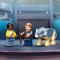 LEGO Jurassic World Скелет тиранозавра на виставці 198 деталей (76940), фото 7