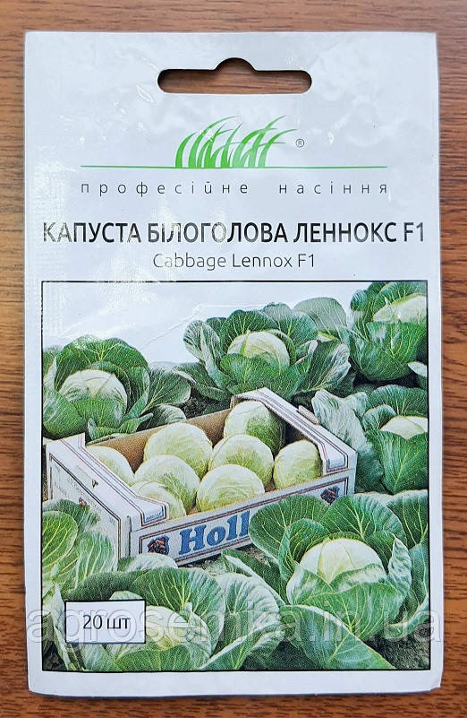 Насіння Капуста Леннокс F1/ Bejo Zaden