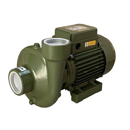 Насос відцентровий BP-3 0,75 кВт SAER (25,0 м3/год, 21.5 м) однофазний, фото 1